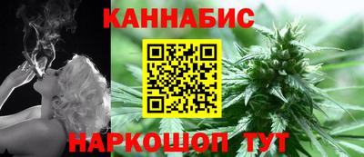 гидра Будённовск