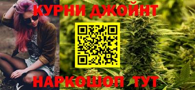 гидра Будённовск
