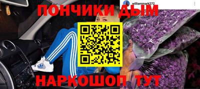 гидра Будённовск