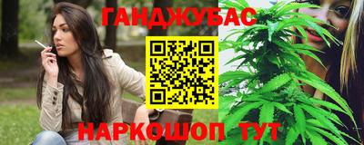 гидра Будённовск