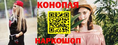 гидра Будённовск