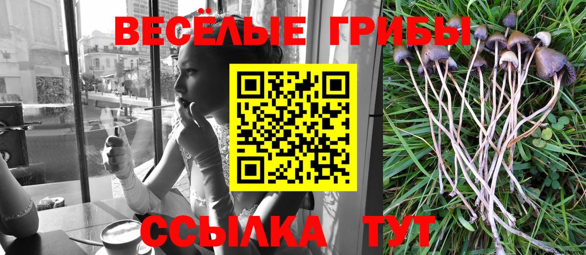 Псилоцибиновые грибы мицелий  Вход с VPN  Озёрск  сколько стоит  Галлюциногенные грибы Magic Shrooms 