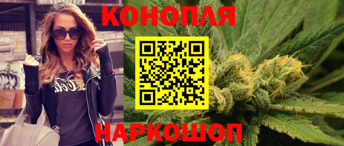 Марихуана сатива Озёрск